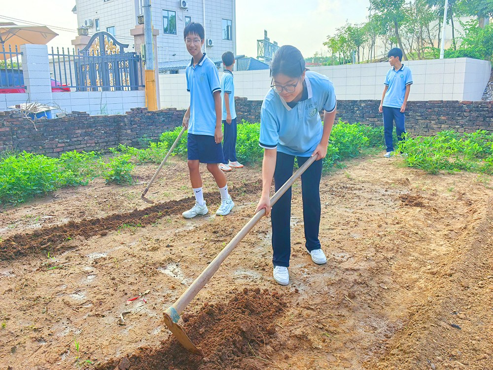 广西来宾少年叛逆管教中心怎么联系？本地寄宿素质培育机构挑选指南